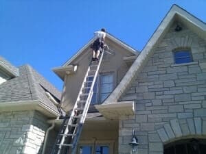Bat proofing a home How to get rid of bats done by experts